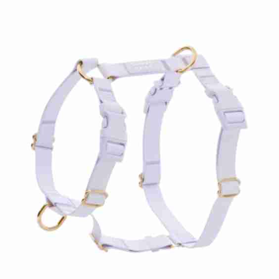 Cloud Lite Dog Harness