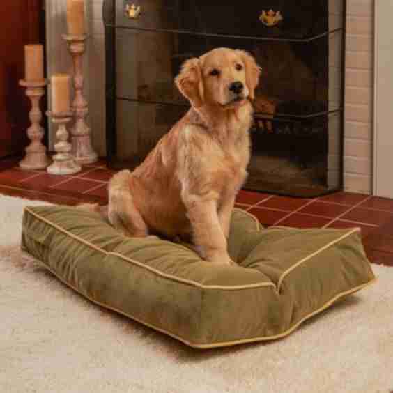 Bailey Rectangle Pillow Dog Bed with Removable Cover