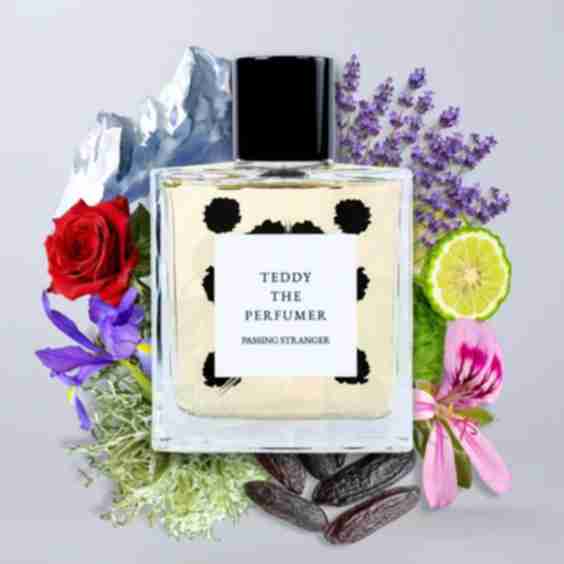 Passing Stranger Eau de Parfum