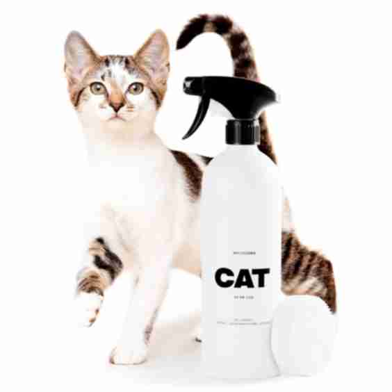 Cat Wee Cleaner