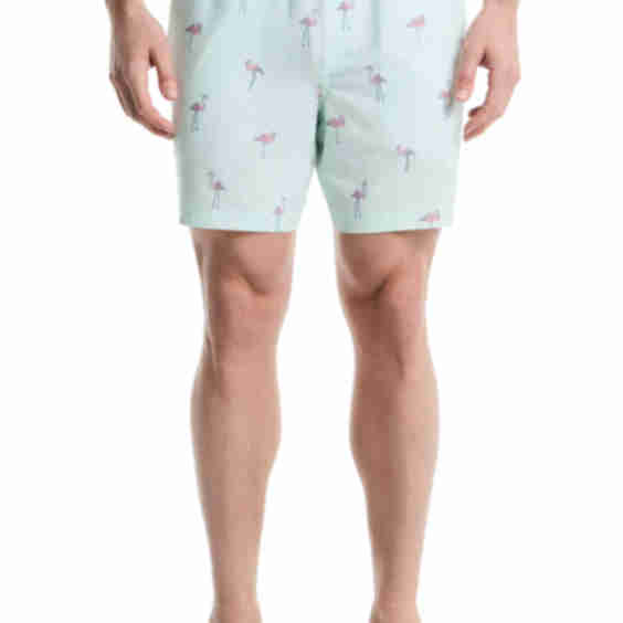 Flamingo Swim Trunks