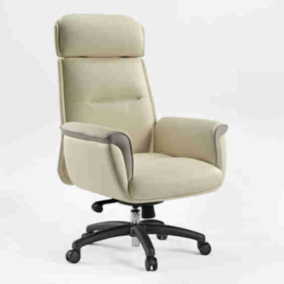 Royal, Microfiber Leather Executive Office Chair