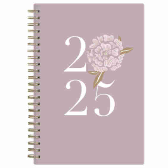 2025 Weekly/Monthly Planner 8.15"x5.91" Wirebound