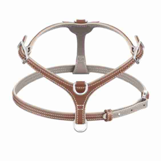 The Petite Extra Small Harness