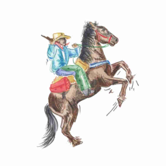 Bucking Bronco