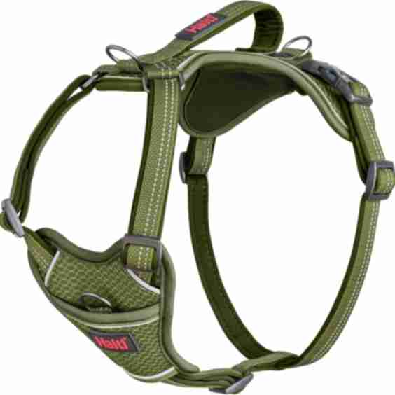 Anatomy Reflective Dog Harness