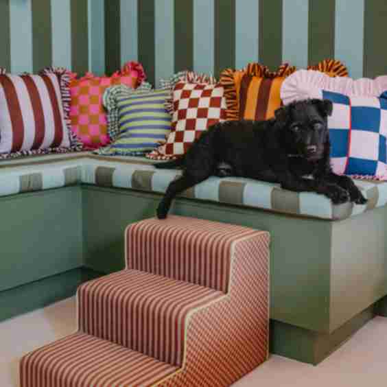 Bespoke Pet Steps