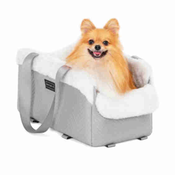 Small Dog Console Car Seat