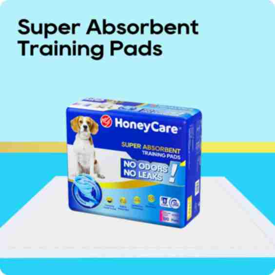 Dog and Puppy Training Pads