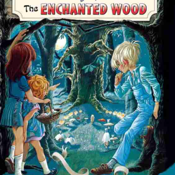 The Enchanted Wood