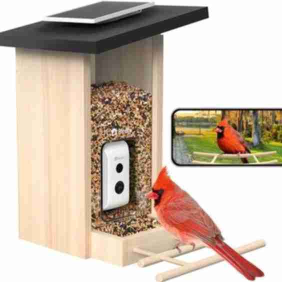 Birdfy Ebony Solar Powered Smart Bird Feeder with Camera