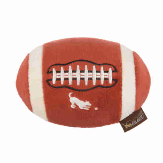 Back to School Fido's Football