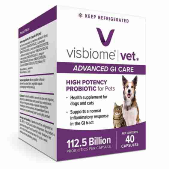 Visbiome Vet Advanced GI Care - 112.5 Billion CFU Capsules