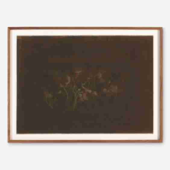 Bloom Ii Wall Art