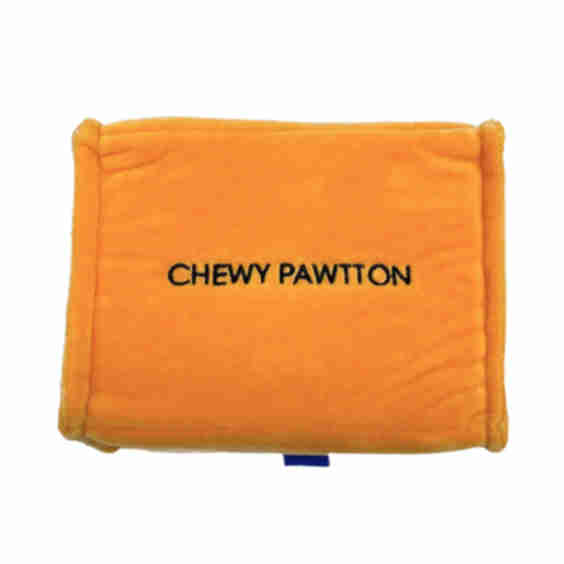 Chewy Pawtton Squeaky Dog Toy