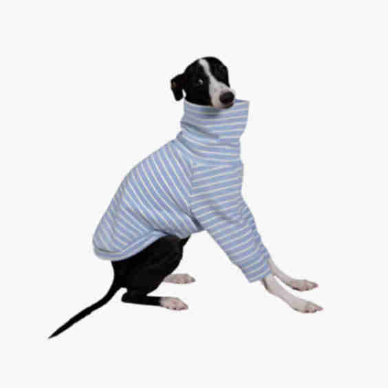 Buttercup Fleece Dog Shirt