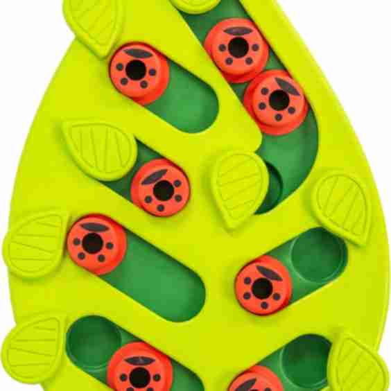 Buggin' Out Interactive Puzzle Feeder Cat Toy