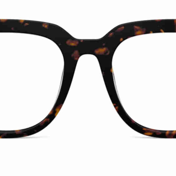 The Payton Glasses
