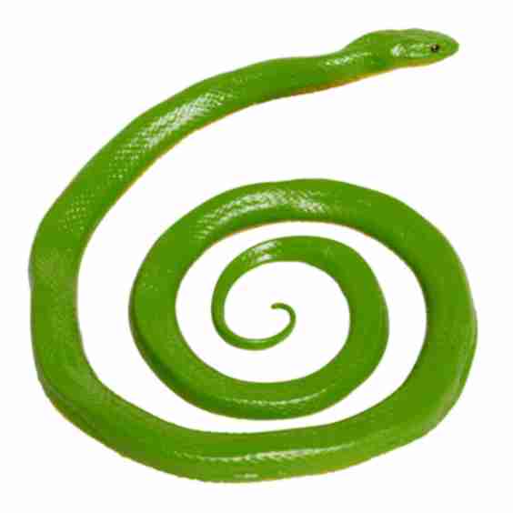 Rough Snake Toy