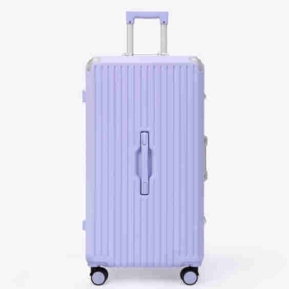 Check In Trunk Suitcase 30