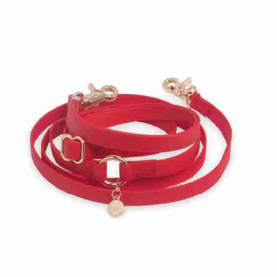 4-in-1 Convertible Hands Free Cloud Dog Leash