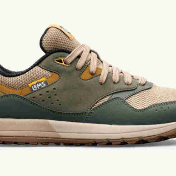 Trail Blazer Shoe