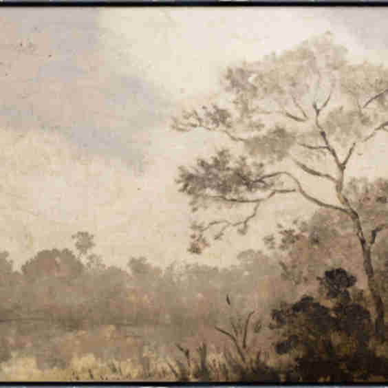 Fenland Haze Print