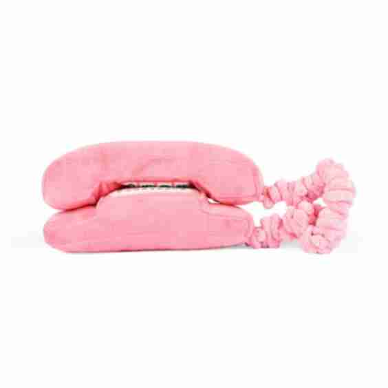Paw Talk Dog Toy, Small