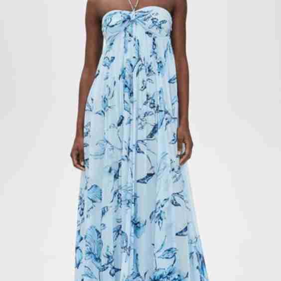 Strapless Flared Dress