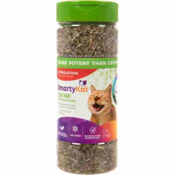 Silvervine Cat Attractant Catnip, 2-oz Canister