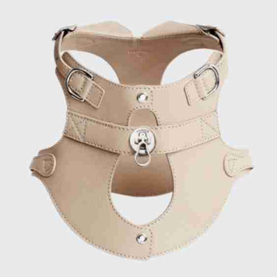 The Colombo Dog Harness