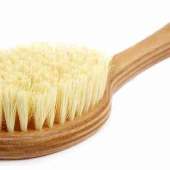 Dry Skin Brush