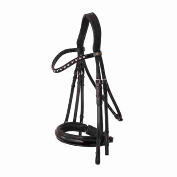 Weymouth Bridle Wendover