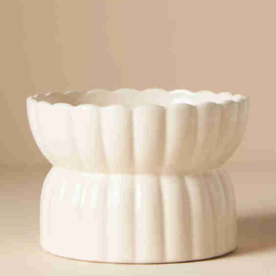 Raised Pet Feeder