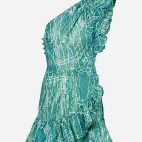 Corinne Printed Cotton Blend Minidress