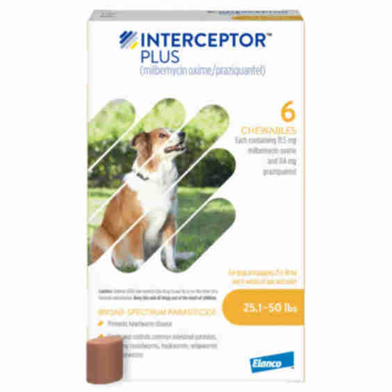 Chewable Tablets for Dogs