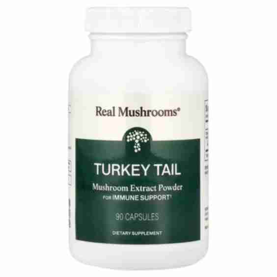 Turkey Tail, Mushroom Extract Powder, 90 Capsules