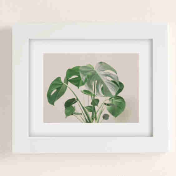My Monstera Art Print
