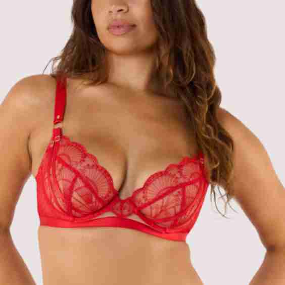Pippa Deco Embroidered Plunge Bra