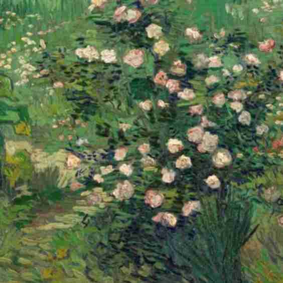 Roses, 1889 Giclee Wall Art