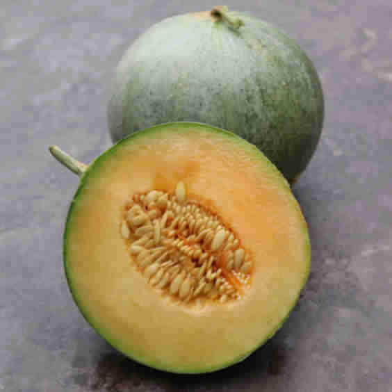 Charentais Organic Melon Seeds