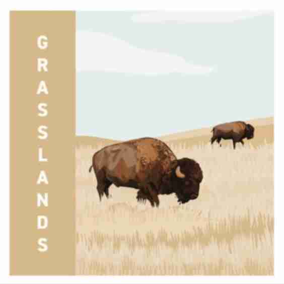 Grasslands Sticker