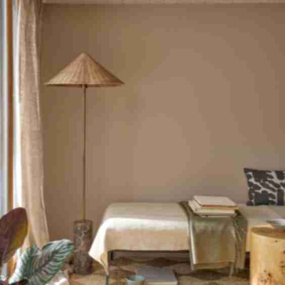 Roman Plaster Paint 