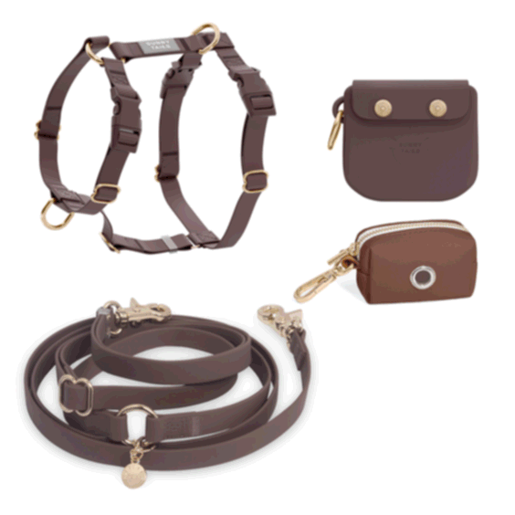 Best Sellers Harness & Standard Treat Pouch Bundle
