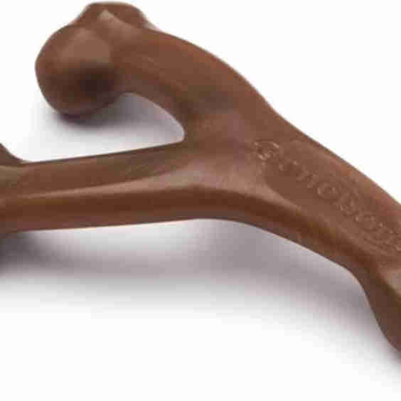 Peanut Butter Flavor Wishbone Tough Dog Chew Toy, Medium