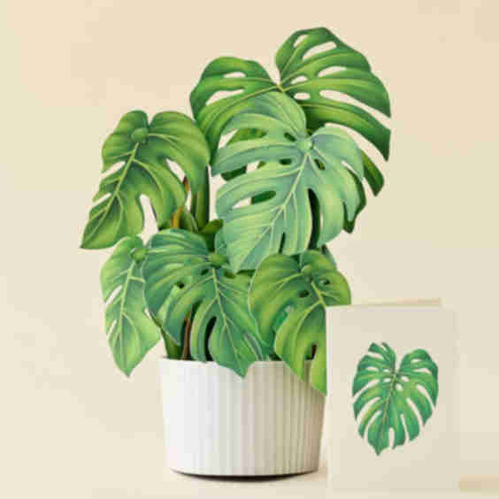 Monstera Pop-Up Greeting Card