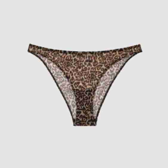 Mesh Bikini Briefs 
