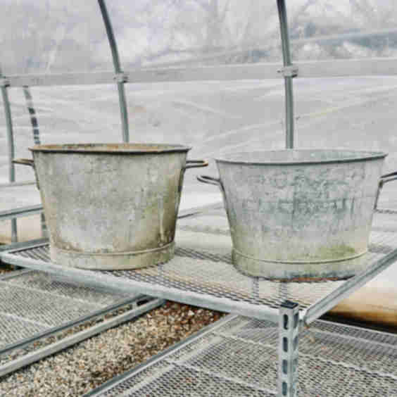 French Vats Planter