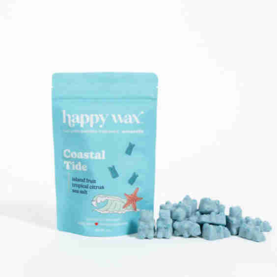 Coastal Tide Wax Melts