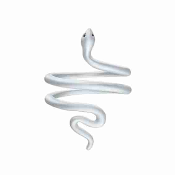 Black Diamond Accented Snake Ring in Sterling Silver